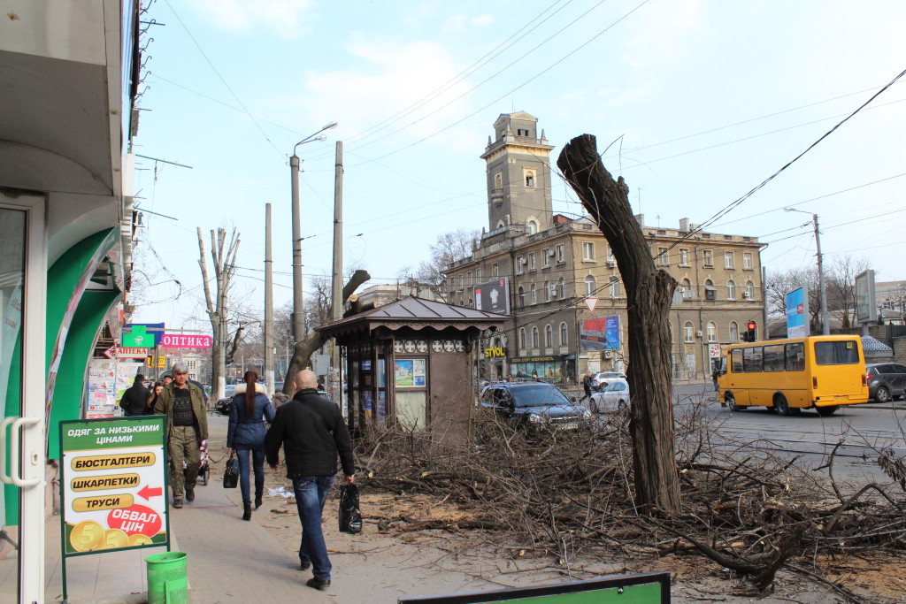 Подрезка не Понтелемоновской 28.03.2016