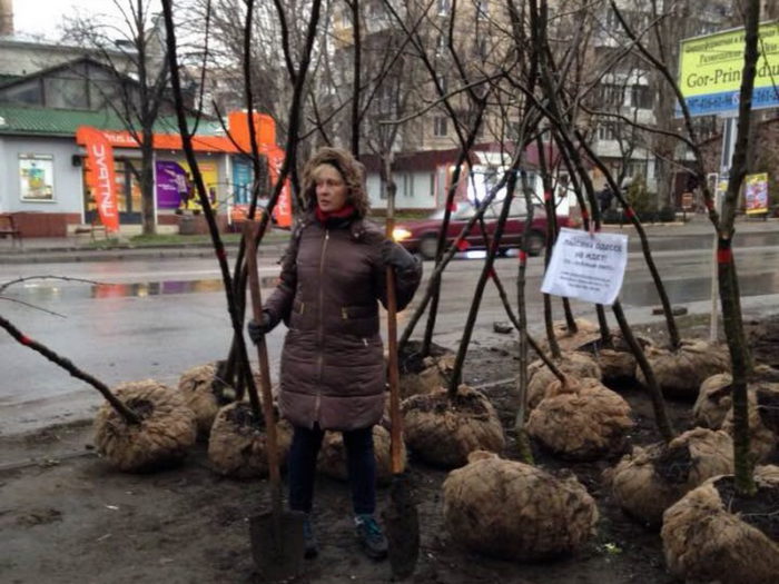 Одесситы смогут бесплатно получить саженцы для благоустройства города