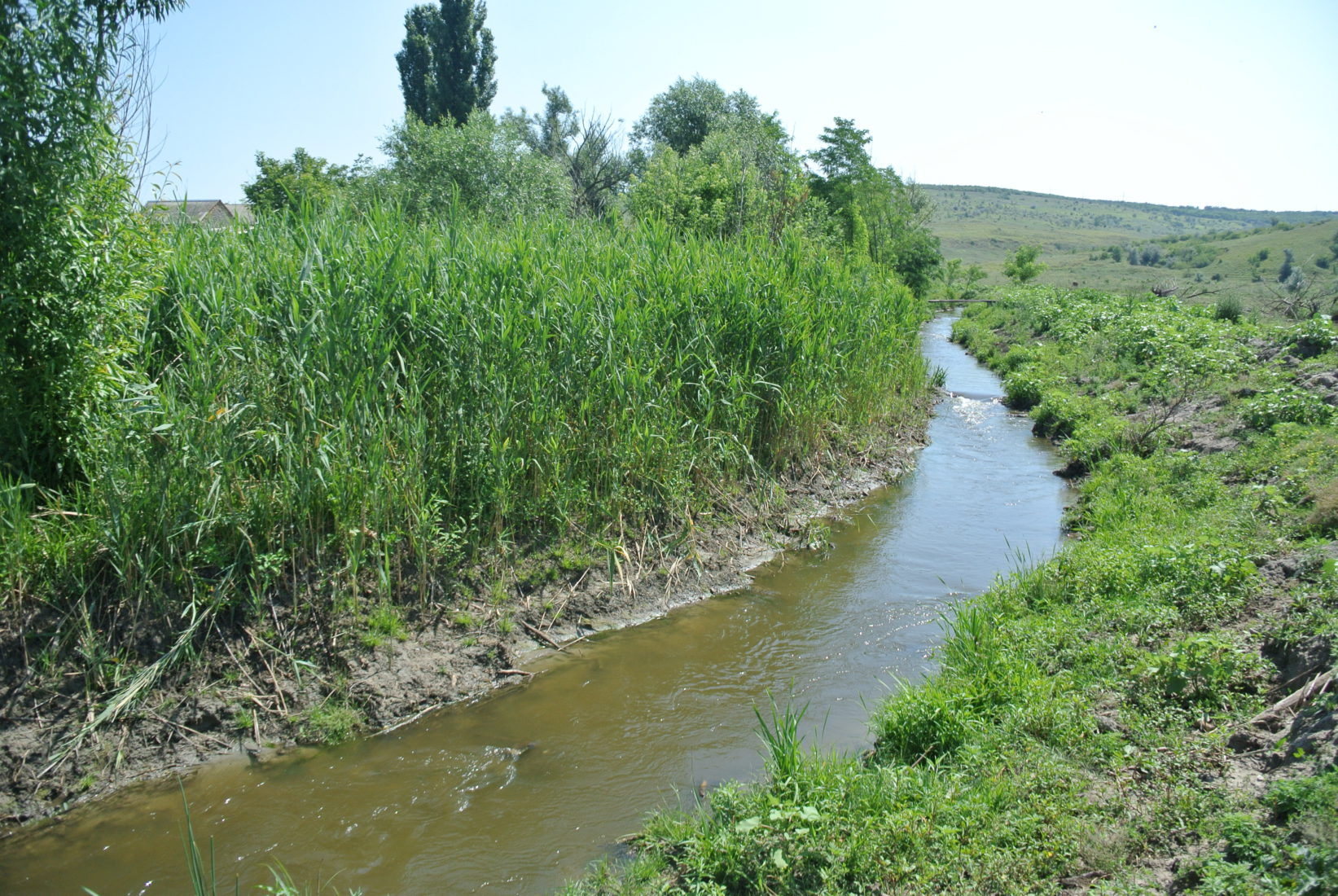 Довкілля