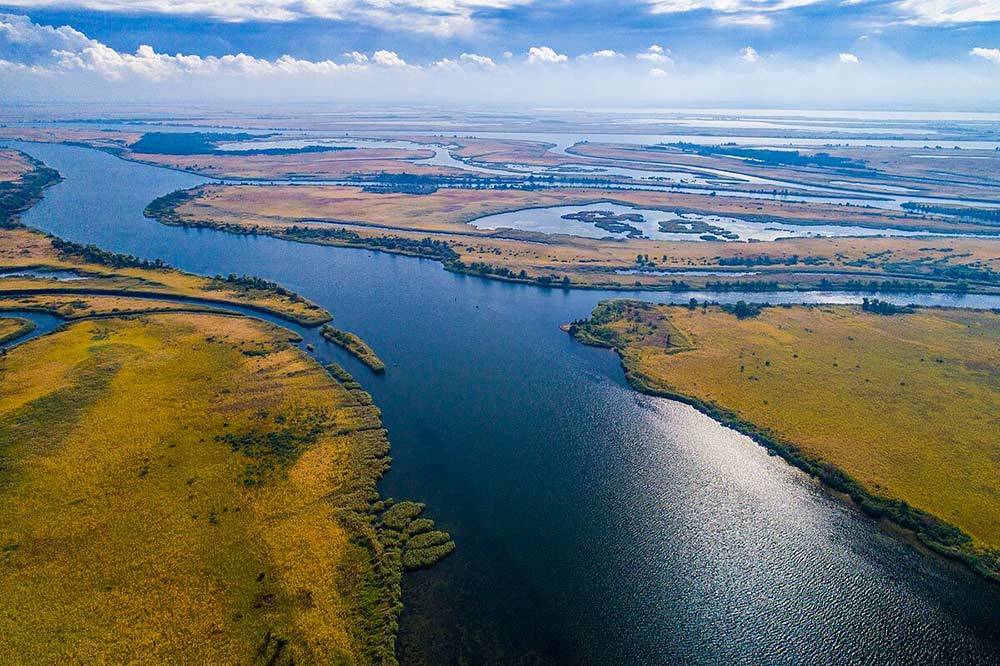 водно-болотні угіддя